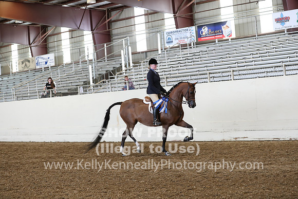 AHANC19_ThursPM_1197