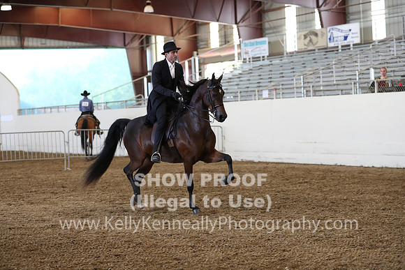 AHANC19_ThursPM_1237