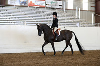 Class 45 HA/Aa Hunter Pleasure JTR 13 & Under