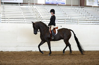 AHANC19_ThursPM_1270