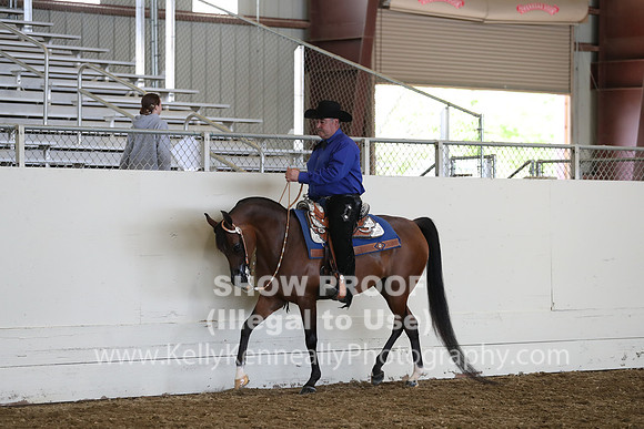 AHANC19_ThursPM_1163