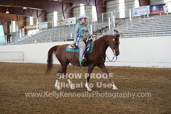 AHANC19_ThursPM_1262