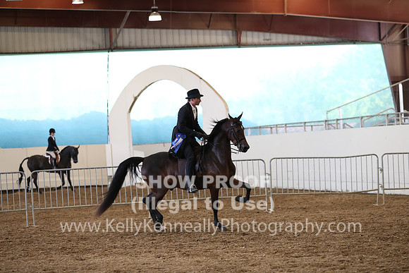 AHANC19_ThursPM_1242