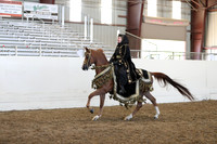 Class 47 Arabian Mounted Native Costume ATR