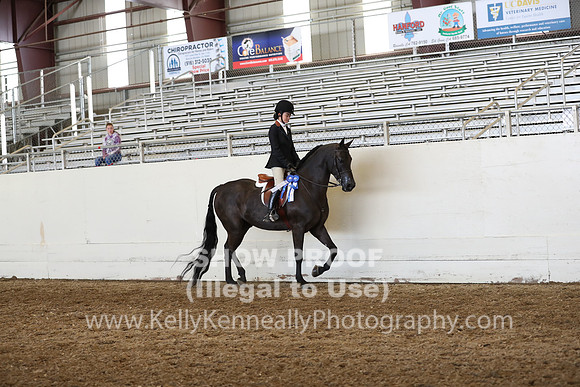 AHANC19_ThursPM_1278