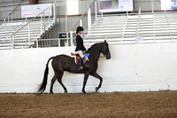 AHANC19_ThursPM_1281