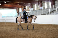 AHANC19_ThursPM_1292