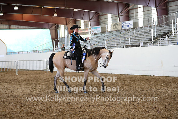 AHANC19_ThursPM_1292