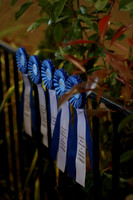 AHANC19_ThursPM_1223