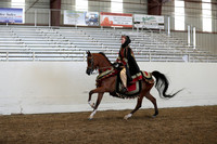 AHANC19_ThursPM_1308