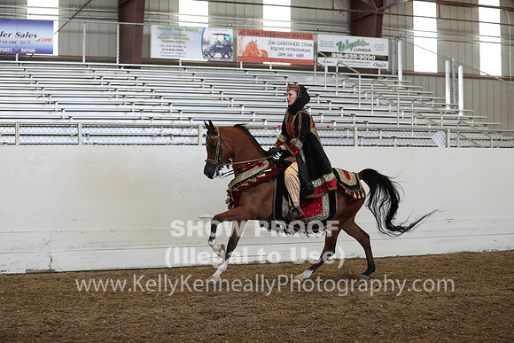 AHANC19_ThursPM_1308