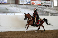 AHANC19_ThursPM_1317