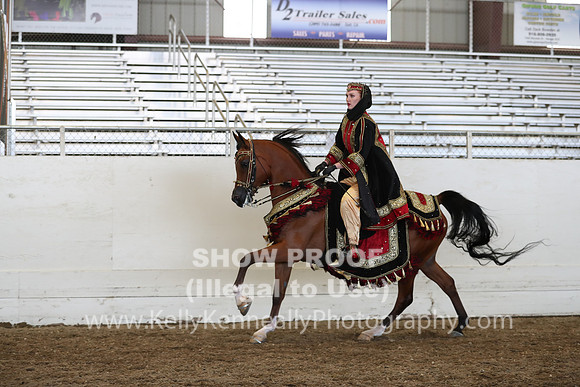 AHANC19_ThursPM_1320