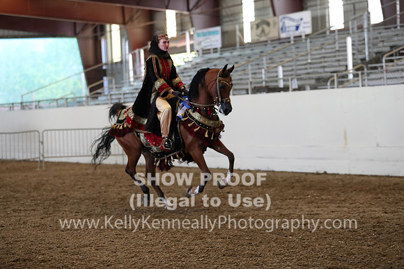 AHANC19_ThursPM_1329