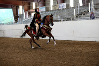 AHANC19_ThursPM_1330