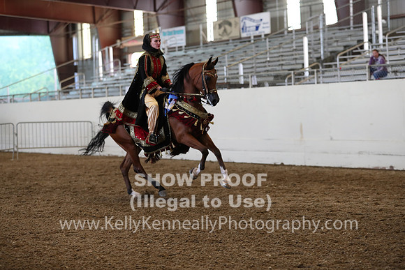AHANC19_ThursPM_1330