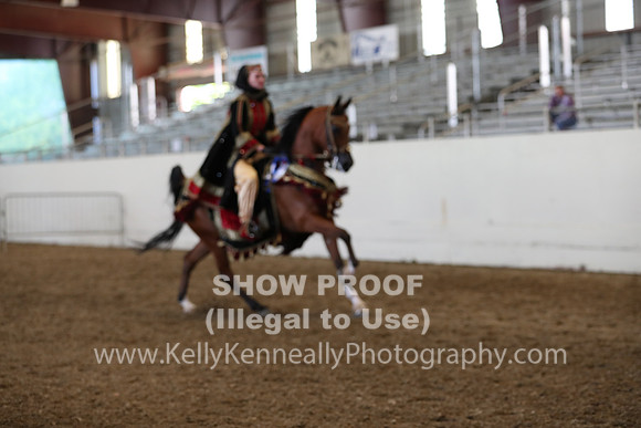 AHANC19_ThursPM_1331