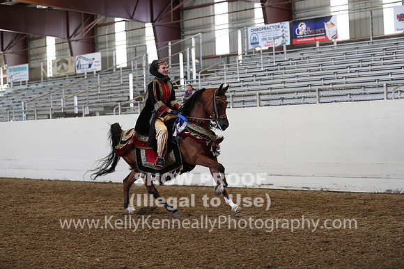 AHANC19_ThursPM_1333