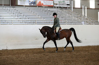 AHANC19_ThursPM_1361
