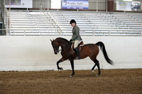 AHANC19_ThursPM_1363