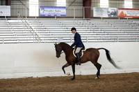 AHANC19_ThursPM_1365