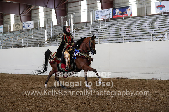 AHANC19_ThursPM_1334