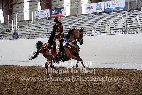 AHANC19_ThursPM_1337
