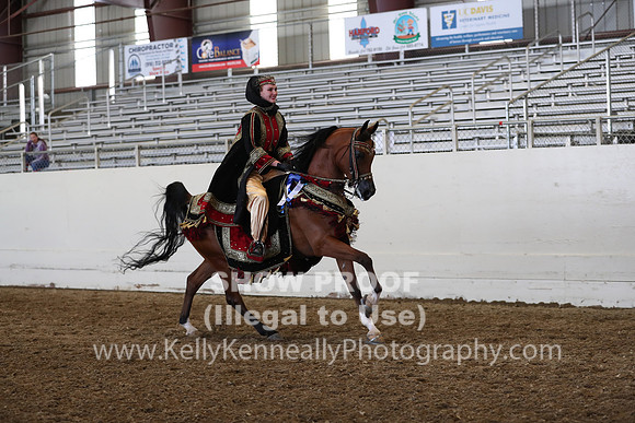 AHANC19_ThursPM_1338