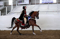 AHANC19_ThursPM_1346