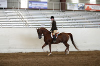 AHANC19_ThursPM_1369