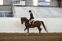 AHANC19_ThursPM_1370