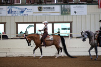 Class 53 Arabian Western Pleasure Walk/Jog ATR
