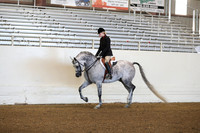 Class 54 Arabian Hunter Pleasure AAOTR 19-39