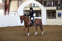 Class 57 HA/Aa Hunter Pleasure Walk/Trot ATR