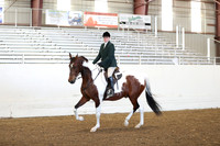 Class 59 HA/AA Hunter Pleasure AATR 19 & Over Select Rider