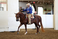 Class 64 Arabian Western Pleasure JR Horses