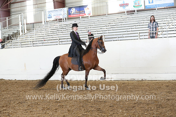 AHANC19_FriAM_2008