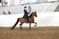 AHANC19_FriAM_2009