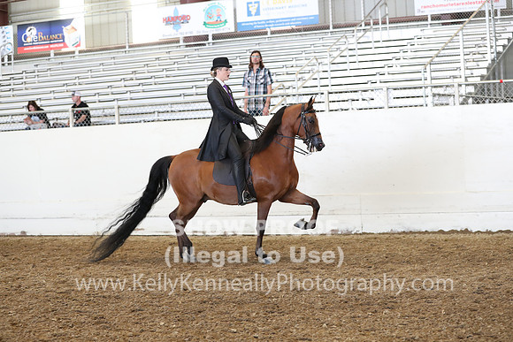 AHANC19_FriAM_2009