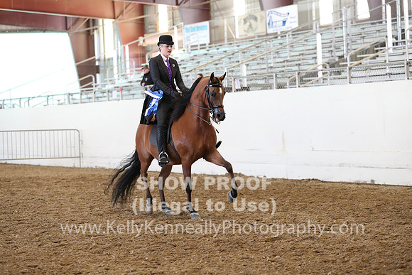 AHANC19_FriAM_2013