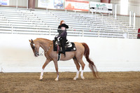 Class 69 A/HA/AA Walk Jog Western Pleasure Riders 10 & Under
