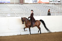 Class 73 Saddle Seat Equitation Riders 18 & Under