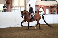 Class 72 HA/AA Hunter Pleasure ATR Elite & Choice Riders