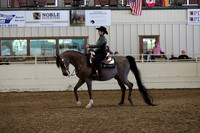 AHANC19_FriPM_2312