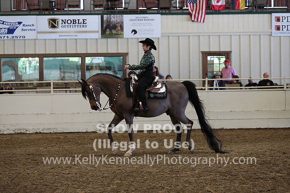 AHANC19_FriPM_2312