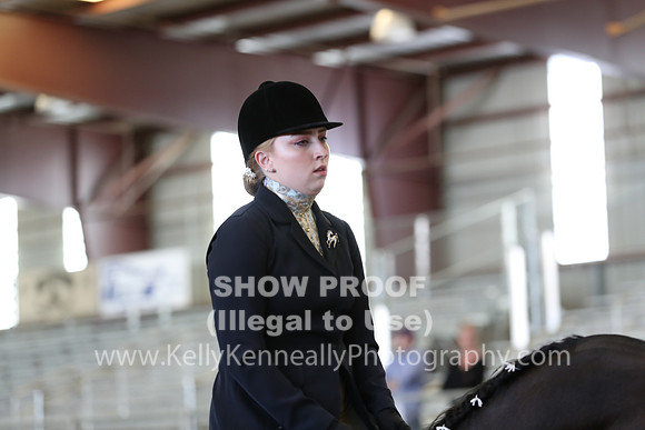 AHANC19_FriPM_2405