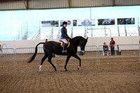 Class 81 HA/AA Hunter Pleasure Championship Junior Horse