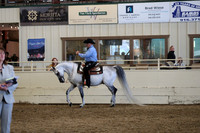 Class 82 Arabian Western Pleasure Championship Geldings