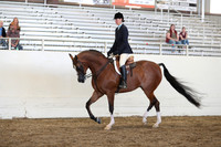 AHANC19_FriPM_2702