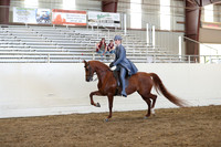 Class 90 HA/AA Country English Pleasure AATR Select Rider